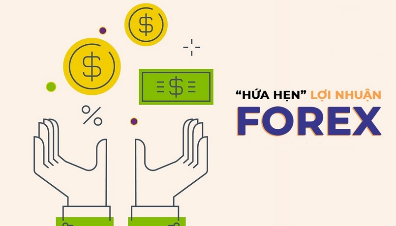 Bàn luận về lợi nhuận của Forex