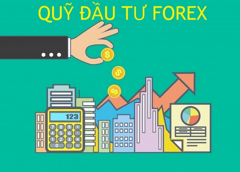 Quỹ đầu tư Forex