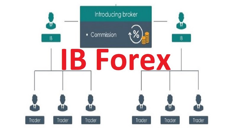 Quy trình để trở thành IB Forex